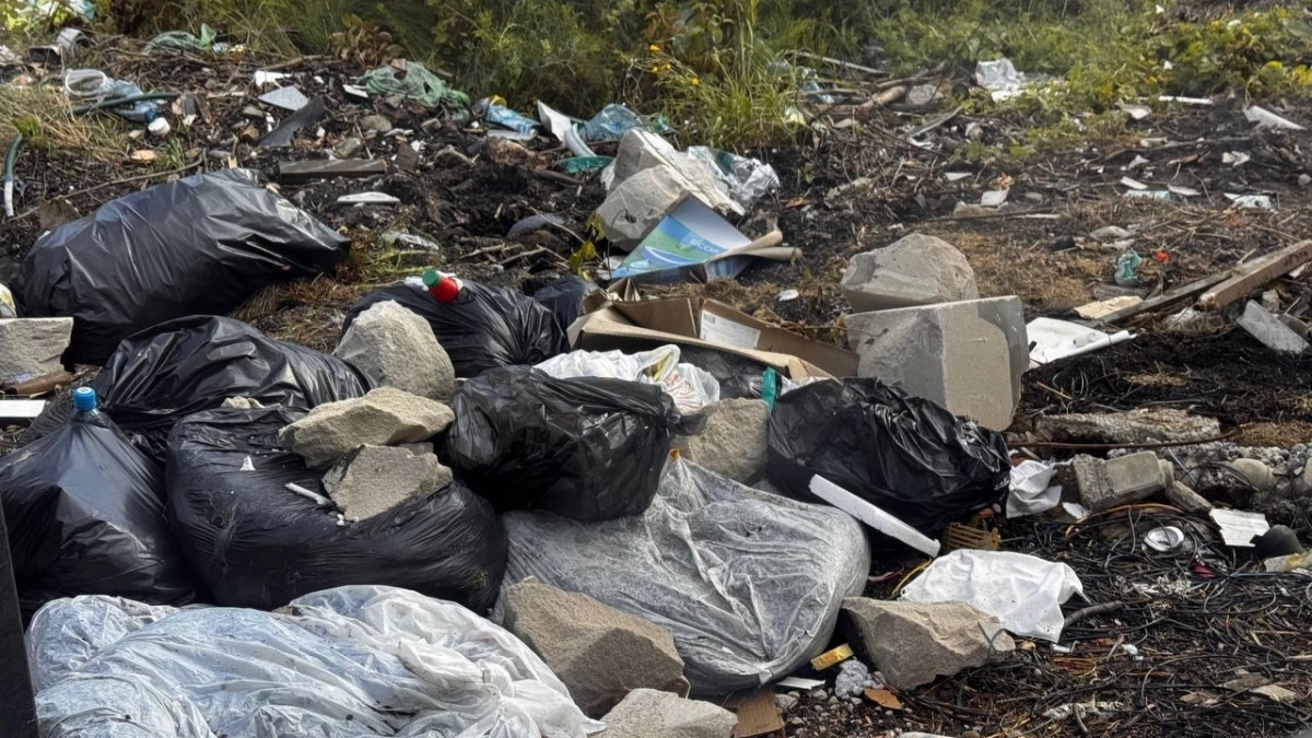 В Калининграде на Минской улице мусорная площадка стала ловушкой: жители поскальзываются на пакетах