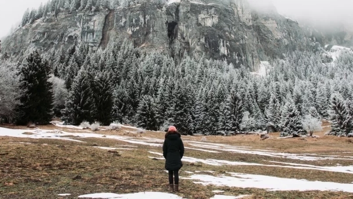«Злые люди, змеи, грязь и ужасная еда»: туристы из России делятся своим разочарованием от визита в Абхазию – честный отзыв