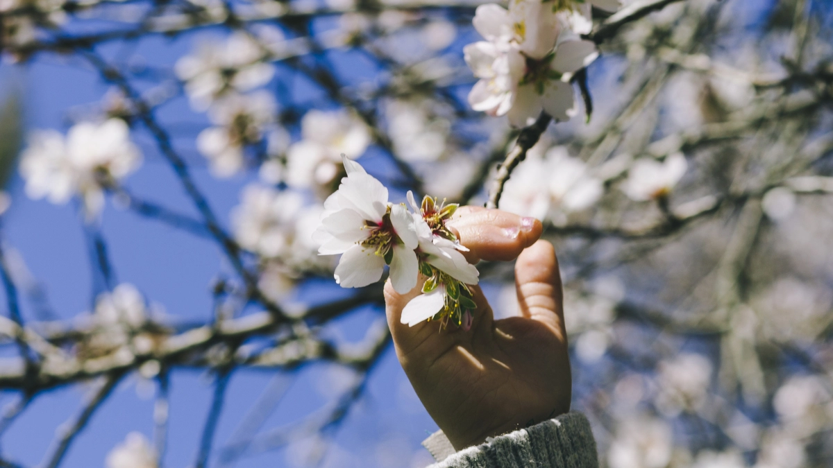 : народные приметы и запреты на 1 апреля, Дарья Грязная