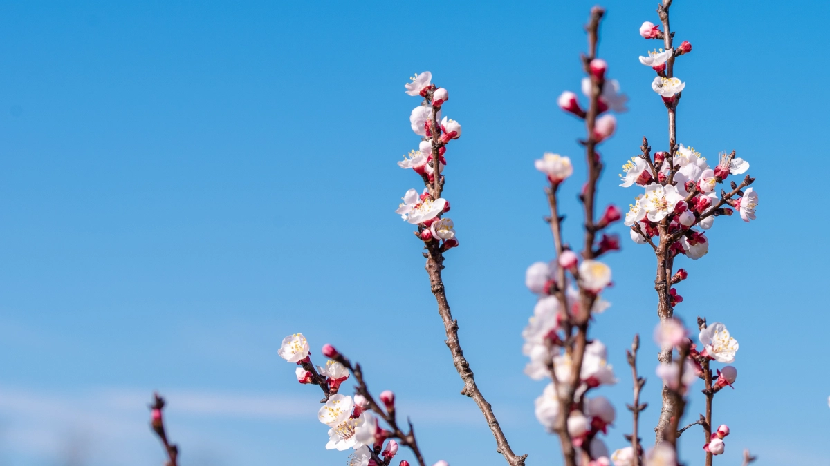 Новые правила игры: что изменилось в России с апреля 2026 и кого это затронет