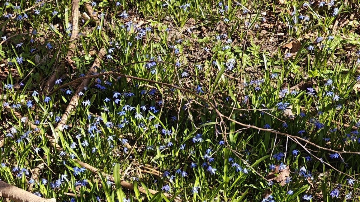 В Калининградской области в четверг природа устроит контрастный спектакль: какой погоды ждать в городах региона