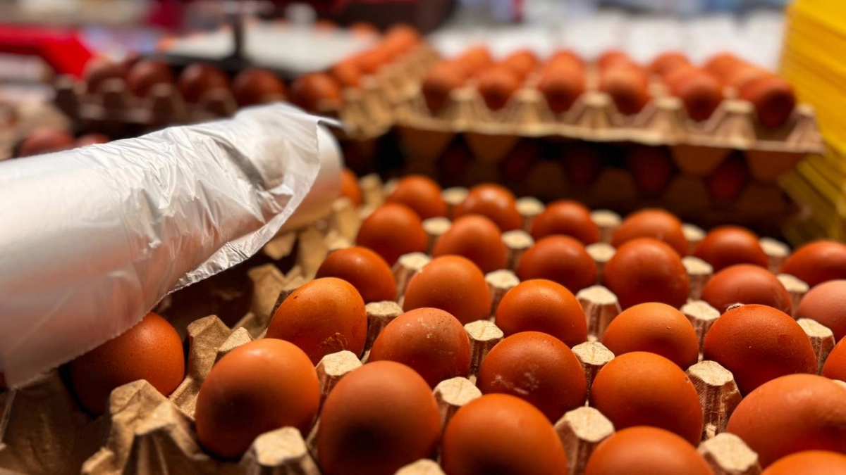 Не всё, что больше, лучше: почему продавцы обходят яйца С0 даже со скидкой