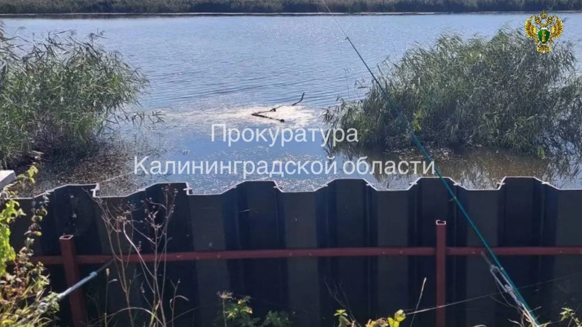 В Гурьевском районе суд вернул государству берег Преголи — частник перекрыл людям доступ к реке