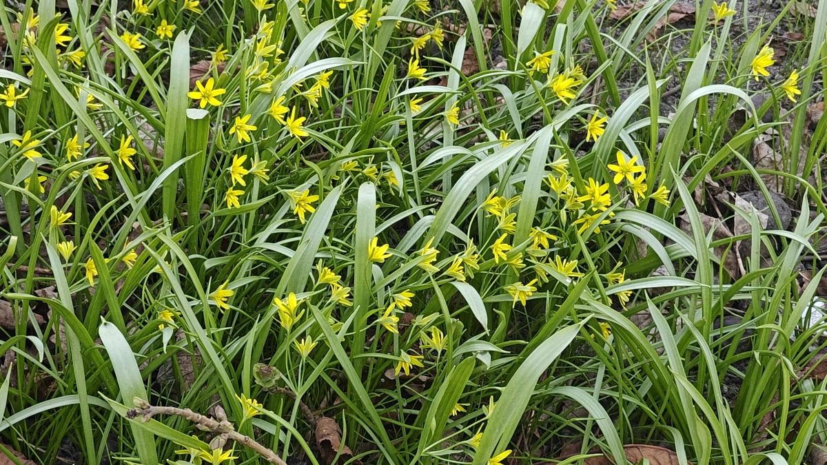 Арктика на пороге: апрель готовит Калининграду и области резкое похолодание - синоптики предупредили о сильном похолодании 