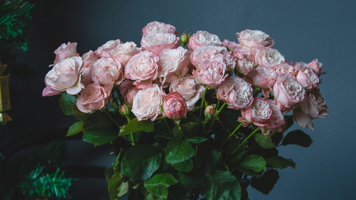 Букет может стоять до 3 недель, но вы сами «убиваете» его за 3 дня: 8 ошибок, которые делают почти все