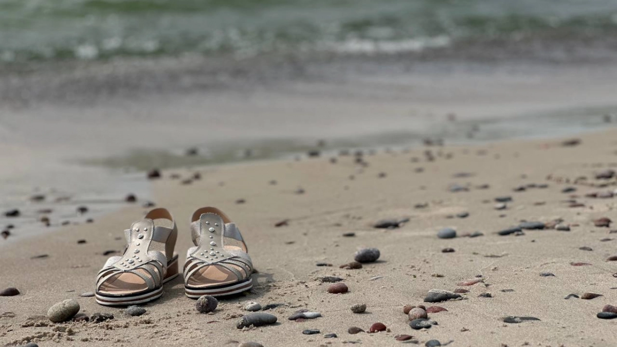 Калининградцев приглашают считать тюленей 5 апреля — нужно пройти два километра по берегу