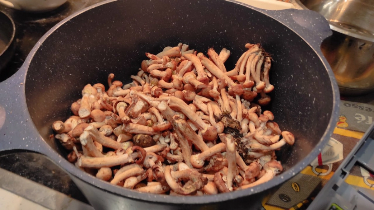 Все мы с детства собирали грибы неправильно: и червивые берите – их легко очистить одним простым способом