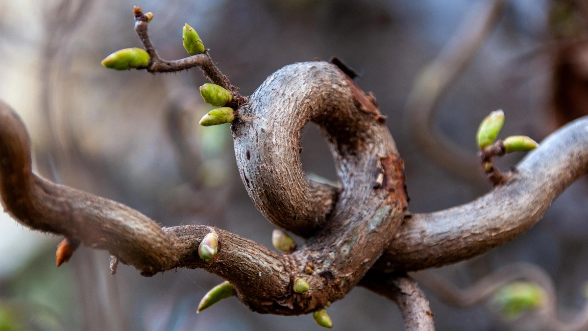 В апреле 2026 шесть знаков Зодиака выходят на новый уровень в работе: проверьте, есть ли вы в этом списке