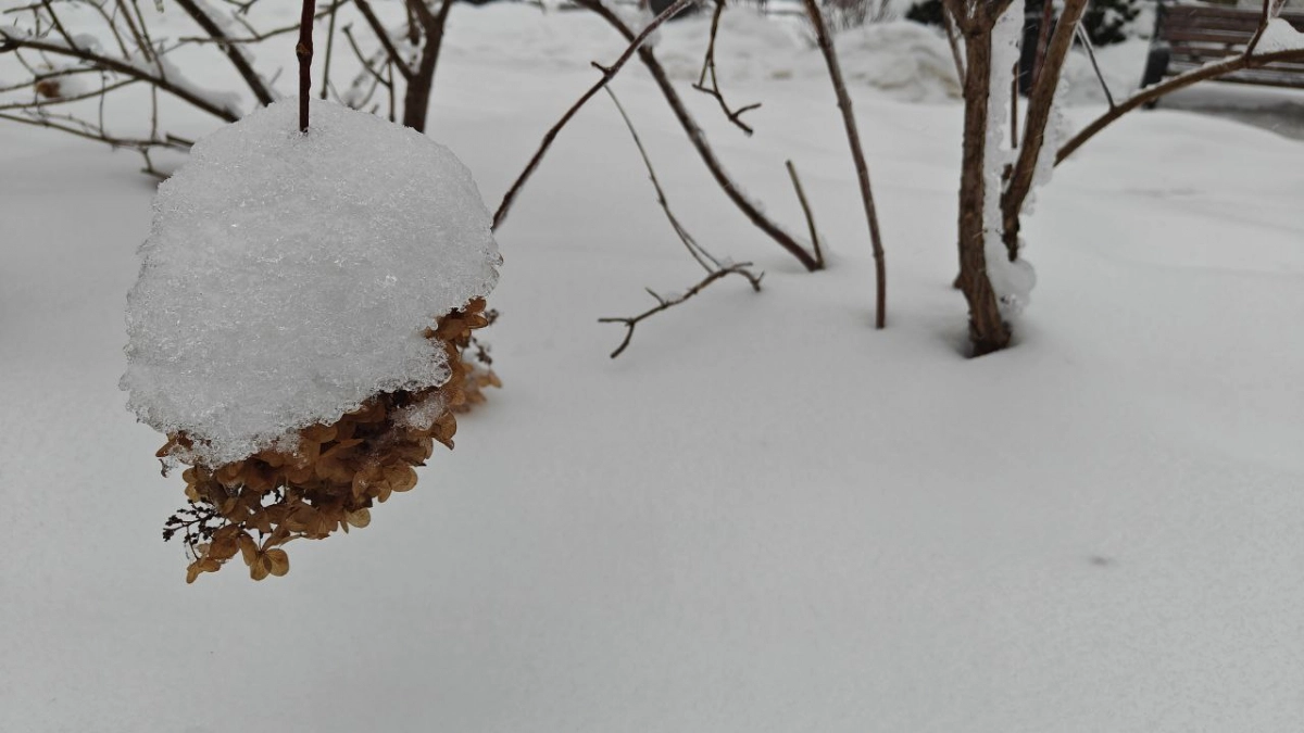 Циклон «Рапунцель» резко поменяет погоду в Калининградской области: МЧС предупреждает об урагане, а синоптики о снеге