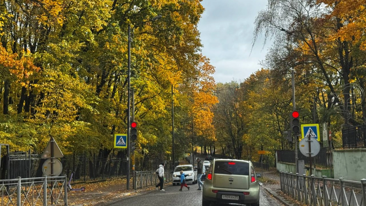 Водитель принимал наркотики: трагическая авария в Правдинском районе , в которой погиб двухлетний ребёнок,обросла новыми подробностями