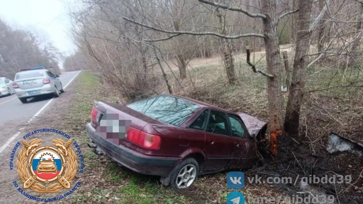 В Славском районе «Ауди» влетела в дерево и опрокинулась в кювет — пострадал пассажир