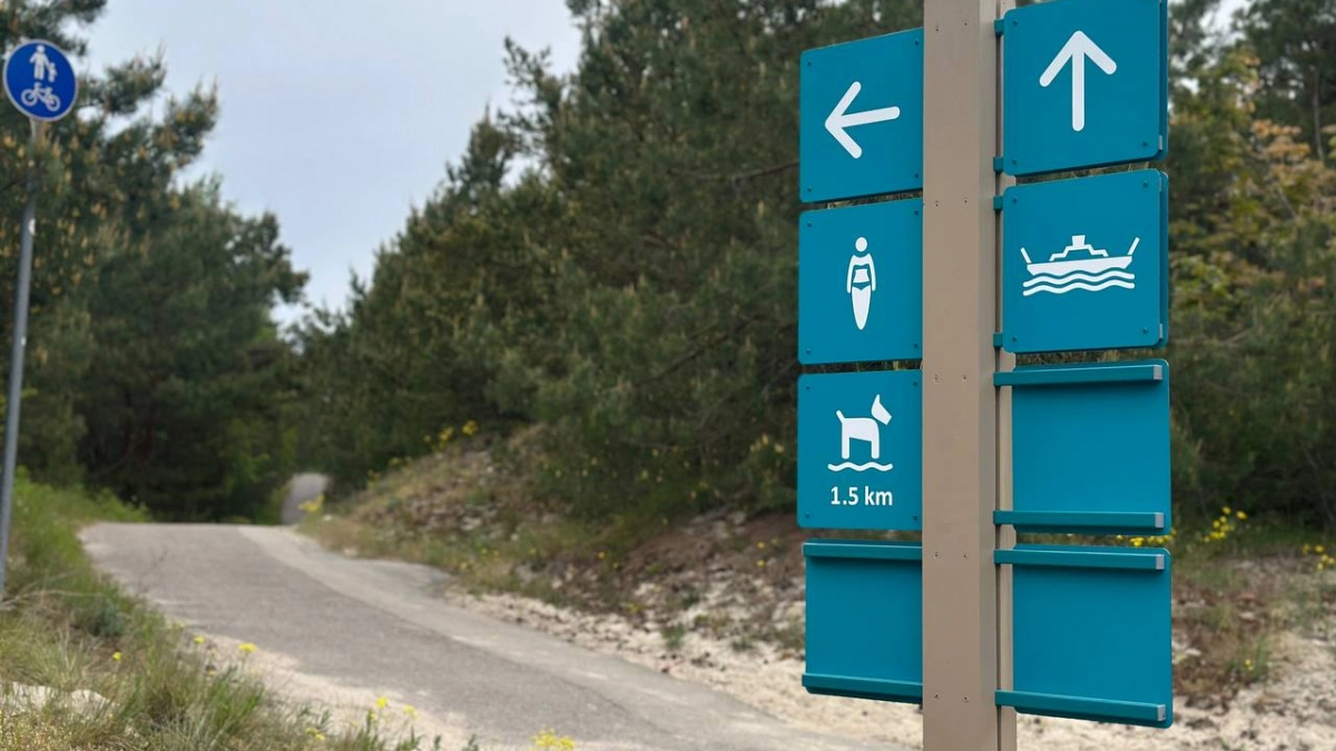 Места разбирают быстро: где смогут отдохнут дети летом 2026 и сколько стоят лагеря в Калининградской области (список)