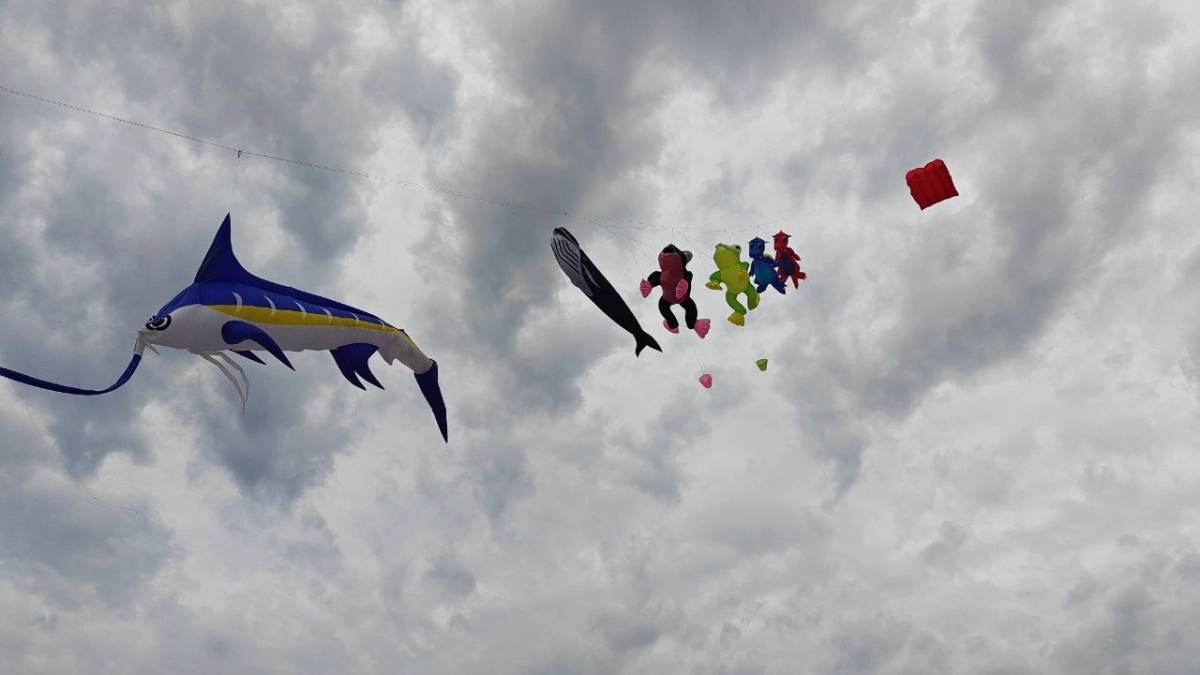 Антициклон против весны: почему Калининградскую область ждут рекордные заморозки и резкое потепление