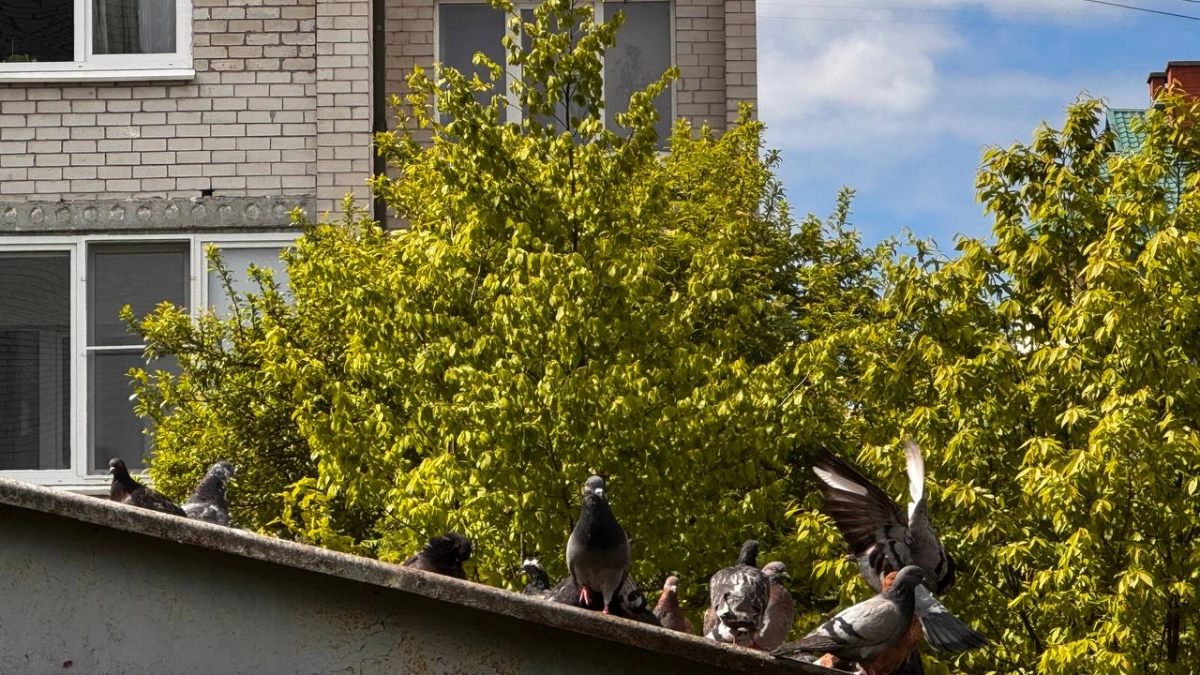 Погода в Калининградской области на 10 апреля: где будет теплее всего, а кого ждут ночные заморозки