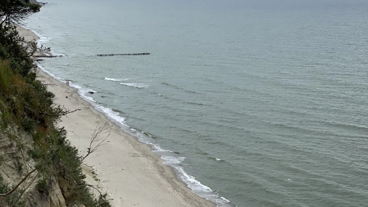 Калининградские учёные БФУ обучили искусственый интеллект находить  мусор в океане с помощью фото и видео