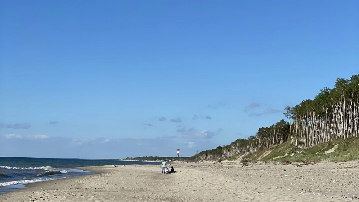 Апрель в Калинингрдае будет сухим: синоптики рассказали что стало причиной засухи и чего ждать от погоды в ближайший месяц