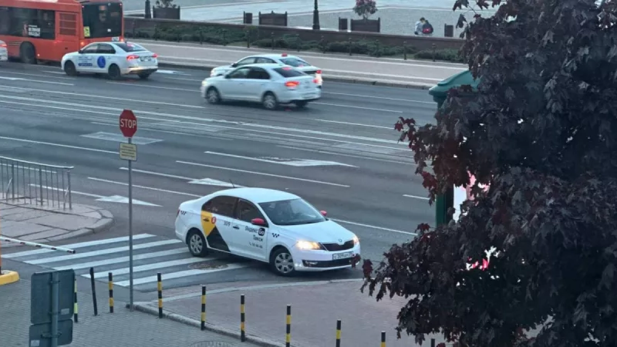 «Зебра больше не стоп-линия»: в каких случаях водитель обязан пропустить пешехода