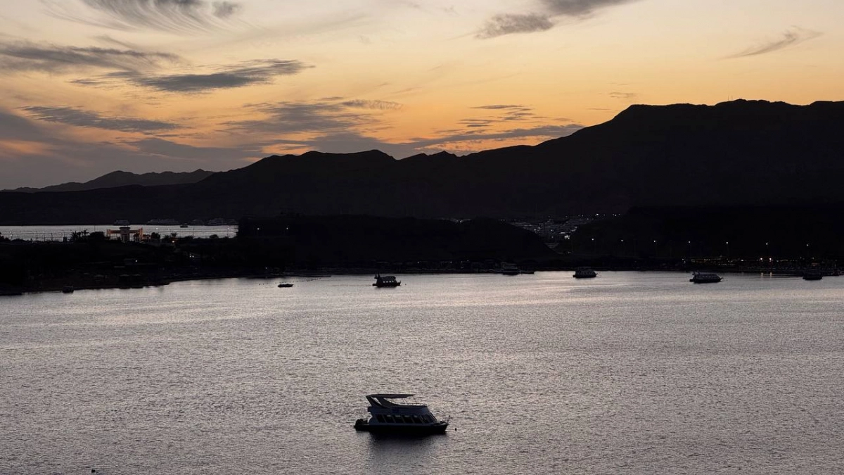 "Вернулись из Адлера и слегли всей семьёй": кишечная инфекция портит отдых уже на третий день - отзывы из Сети пугают