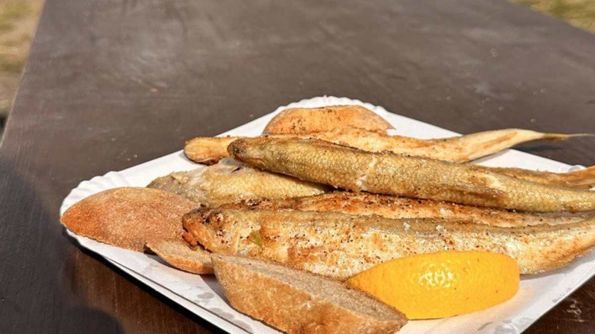 В Калининградской области цены на корюшку бьют рекорды: рыбаки и учёные ищут причину в Литве