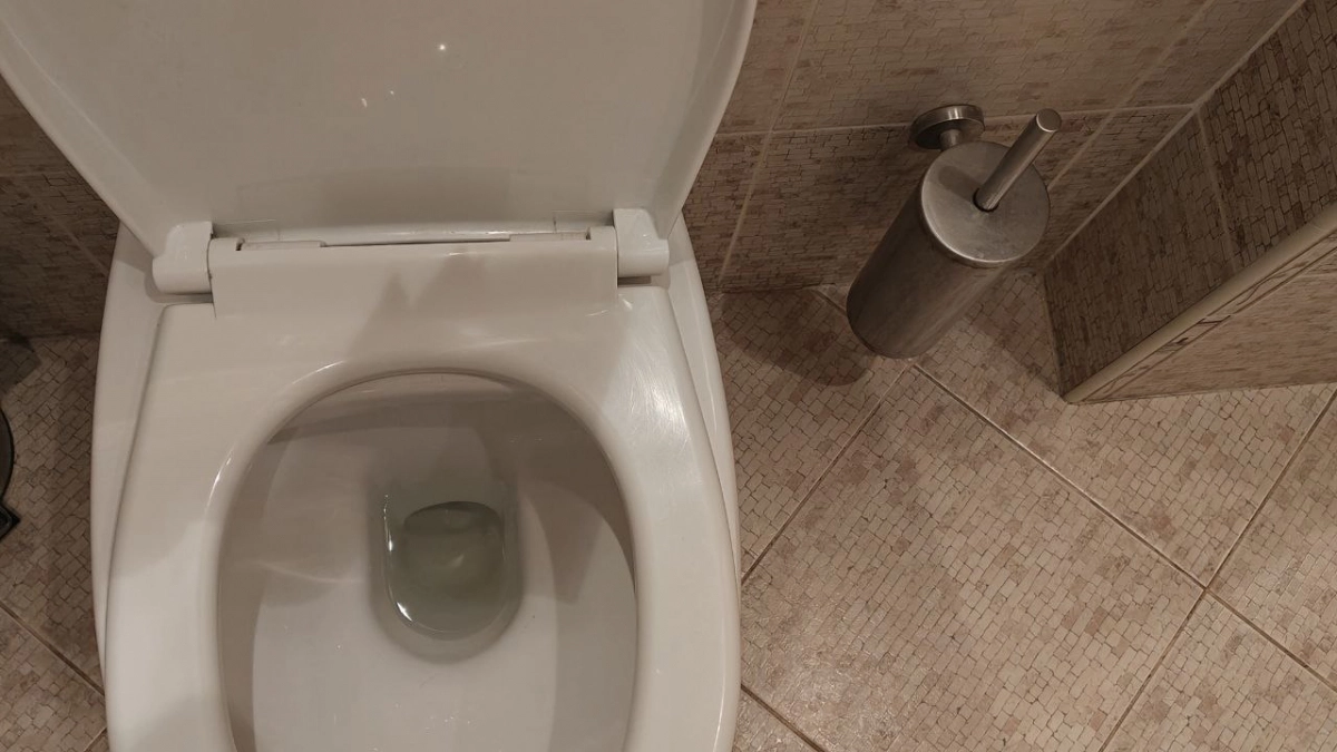 150 г в унитаз — и на месяц нет запаха, желтизны и налёта: простой способ без химии