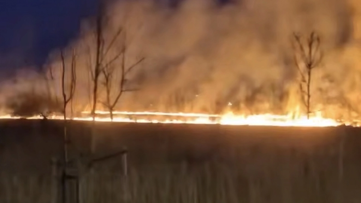 Пламя подбиралось к «Балтийскому пассажу»: в районе Большой Окружной пожарные остановили стену огня