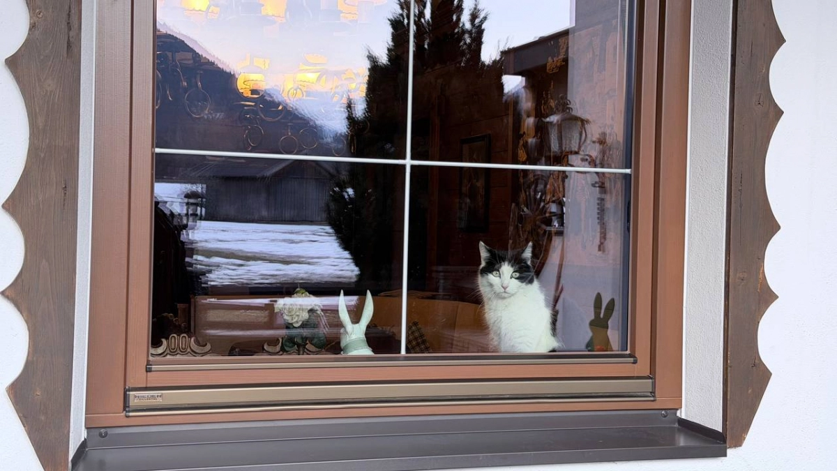 Северный ветер вернёт прохладу к Балтике: где в Калининградской области будет холоднее и когда потеплеет