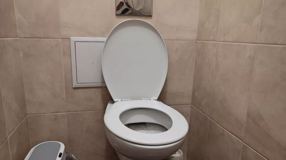 Дно унитаза отмыла за 1 раз и даже к ершику не притронулась: заливаем и смываем — налет сам уползает в трубу как змея