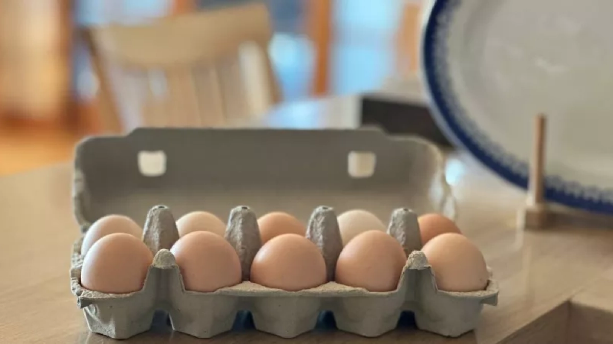 Зря вы проходите мимо: копченая салака за 300 рублей и икра за 70 - что выгодно брать в «Красном и Белом»