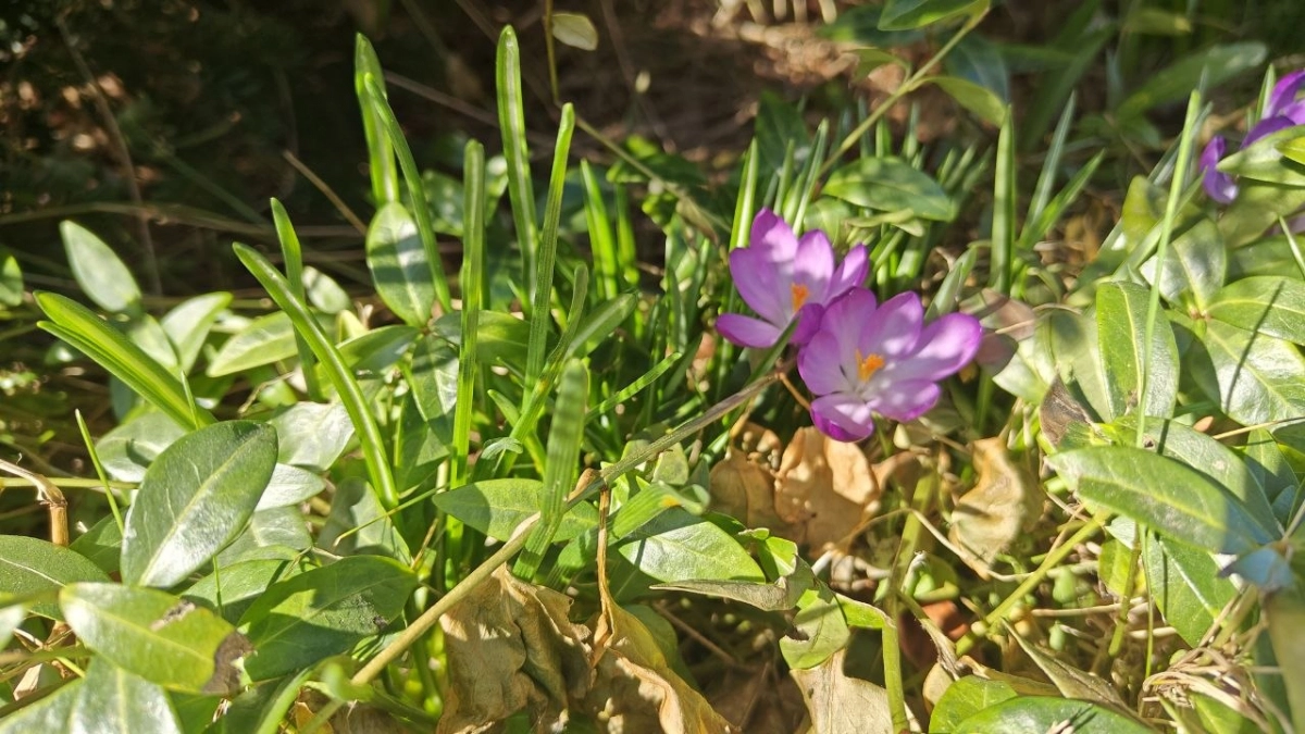 Погода в Калининградской области на 17 апреля: в каких районах столбик термометра рухнет вниз на 10 градусов