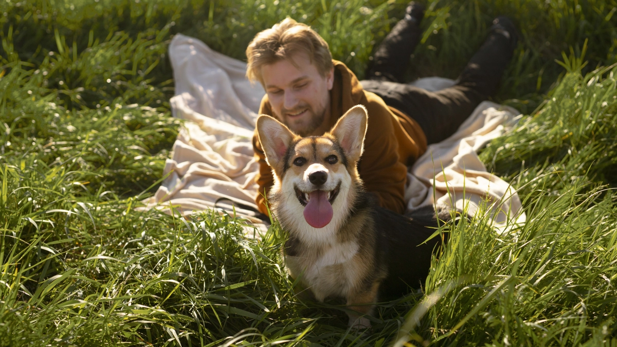 4 средства от клещей для собак: что реально работает в 2026 году и как выбрать защиту без ошибок