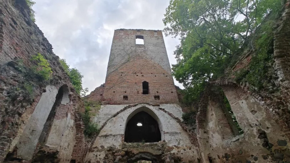 Замки Калининграда: полный список, цены и что реально стоит посмотреть в 2026 году туристам - полный гайд