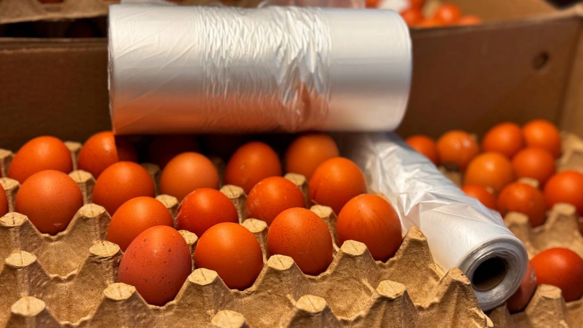 Не берите крупные яйца: 3 причины, почему мелкие С2 и С3 оказываются вкуснее и выгоднее