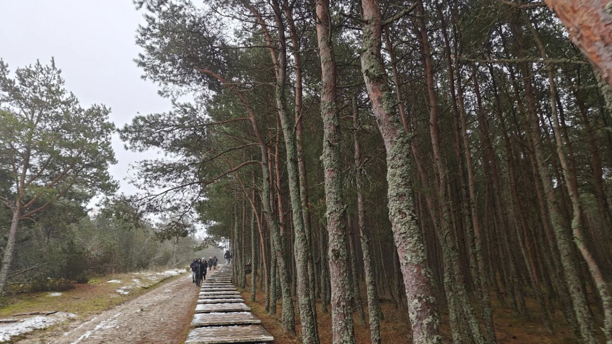 Куршская коса в Калининградской области: как правильно посещать нацпарк, чтобы быть в восторге, и какие ошибки совершают 90% туристов