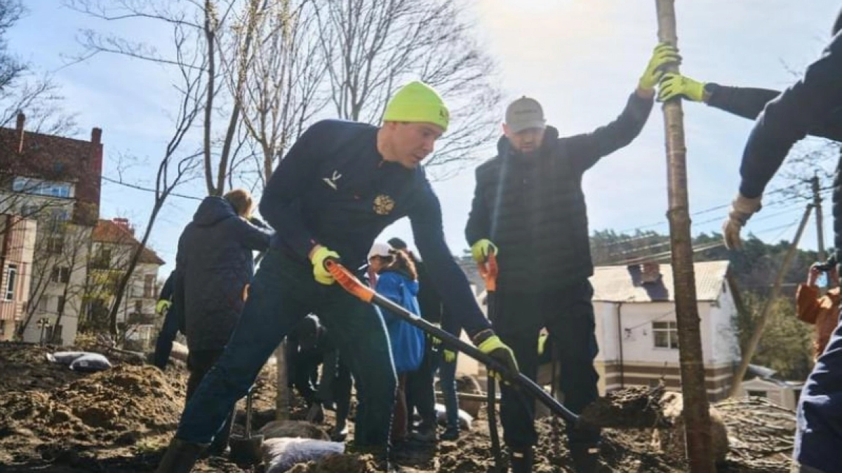 В Калининград Алиханов прилетел сажать сакуры и магнолии: где теперь можно полюбоваться цветением