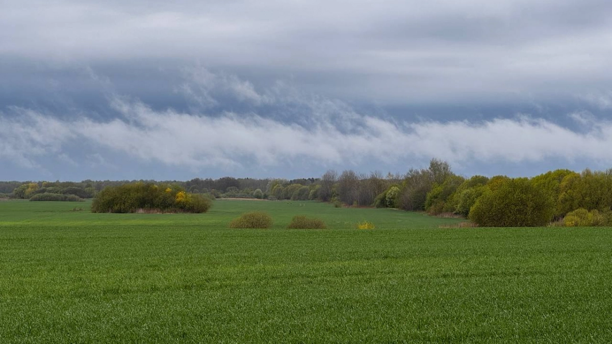 Погода в Калининграде на 21 апреля: утреннее солнце сменится пасмурным небом, ветер усилит ощущение холода