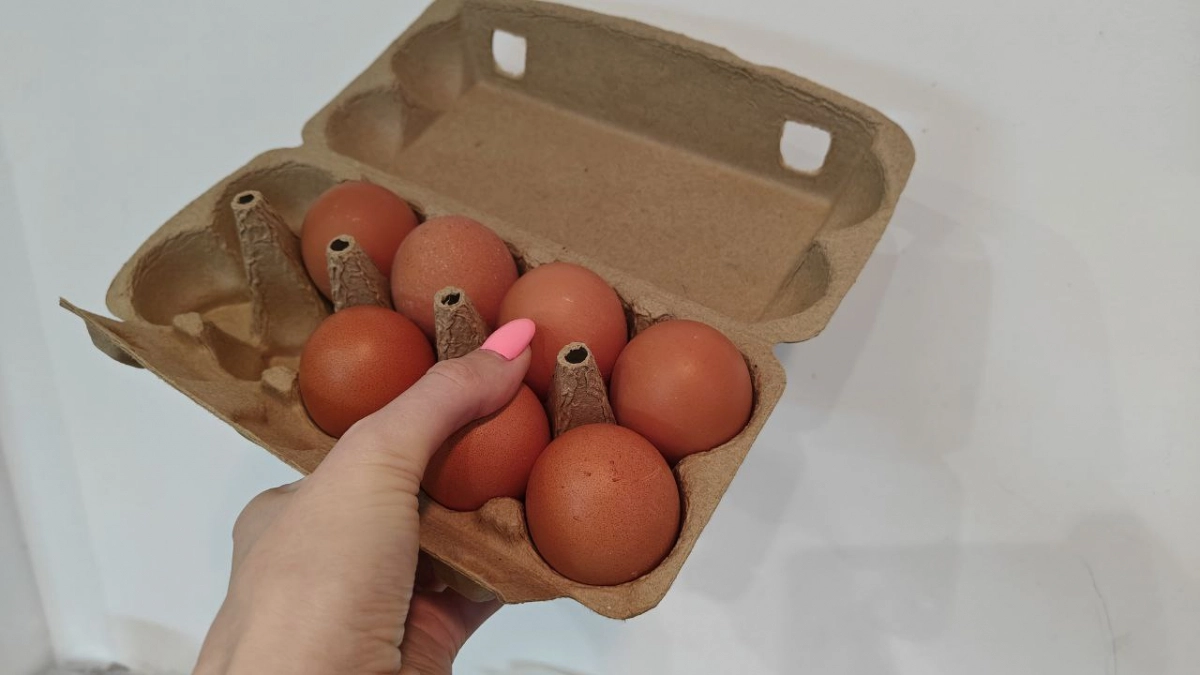 Почему яйца категории С2 и С3 часто выгоднее С0 и С1: как выбрать и не переплатить за размер