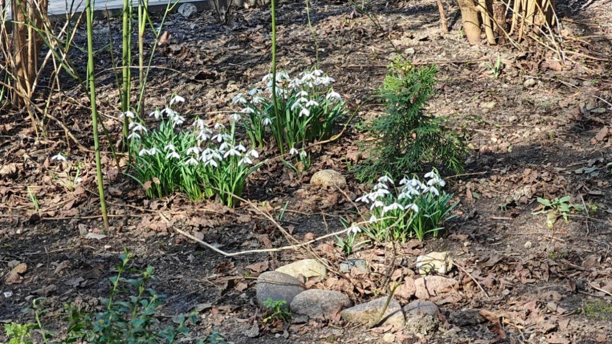  Калининградской области синоптики предупредили: холод задержится до майских праздников