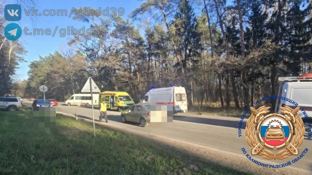 На трассе «Калининград — Балтийск» столкнулись четыре автомобиля: двое пострадавших доставлены в больницу