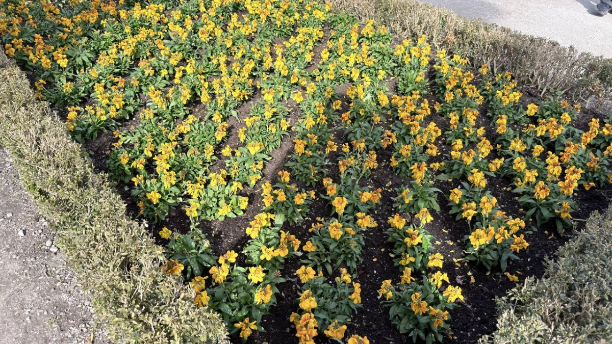 Калининградская область вошла в число самых засушливых регионов Европы: с конца марта выпало всего 5 миллиметров осадков