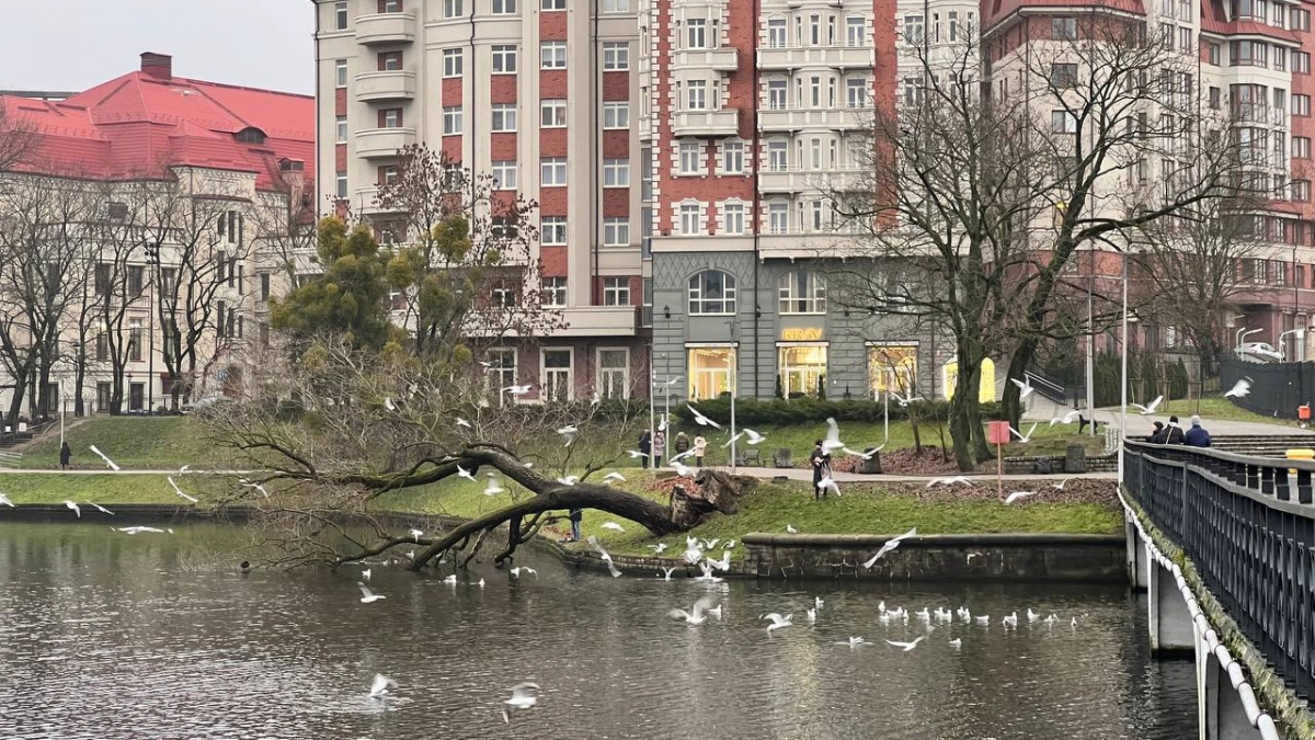 В Литве полковник запаса заявил, что Россия может потерять Калининградскую область из-за Сувалкского коридора