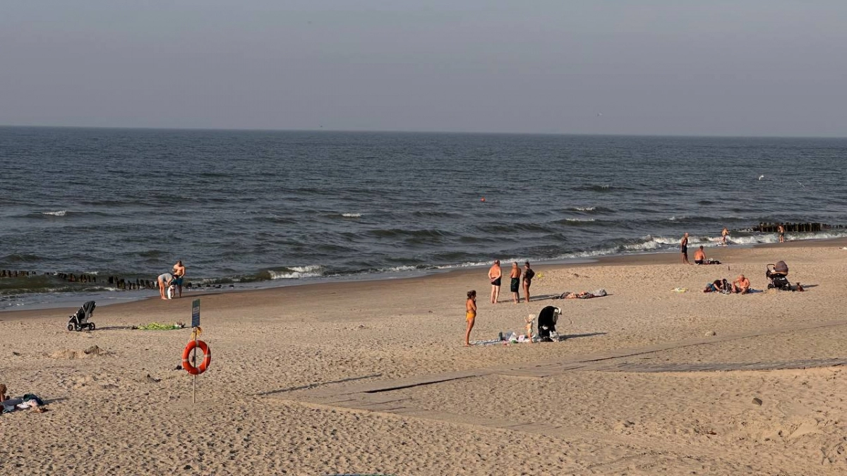 Бюджетный отдых в Абхазии в 2026: правда и мифы, нужен ли загранпаспорт для детей — советы бывалой путешественницы