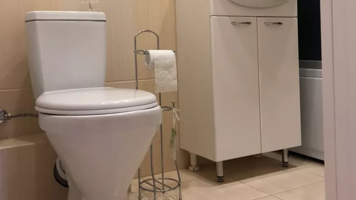 После одного случая всегда опускаю крышку унитаза и вам советую: почему нельзя оставлять "белого друга" открытым