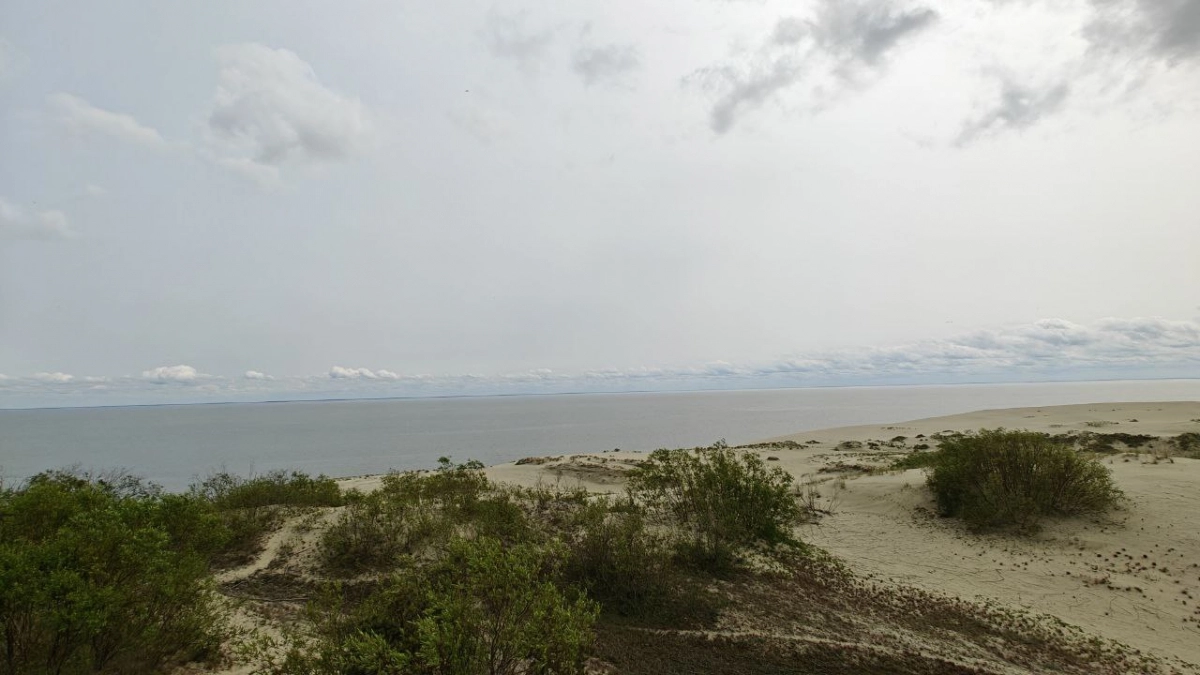 У Куршской косы задумали насыпать искусственный остров под гостиницу: экологи бьют тревогу