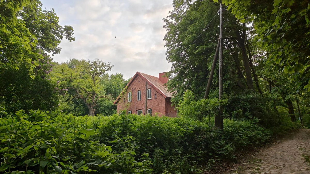 Дача больше не радует глаз? 4 причины, почему на участке неуютно (и как всё быстро исправить без больших затрат)