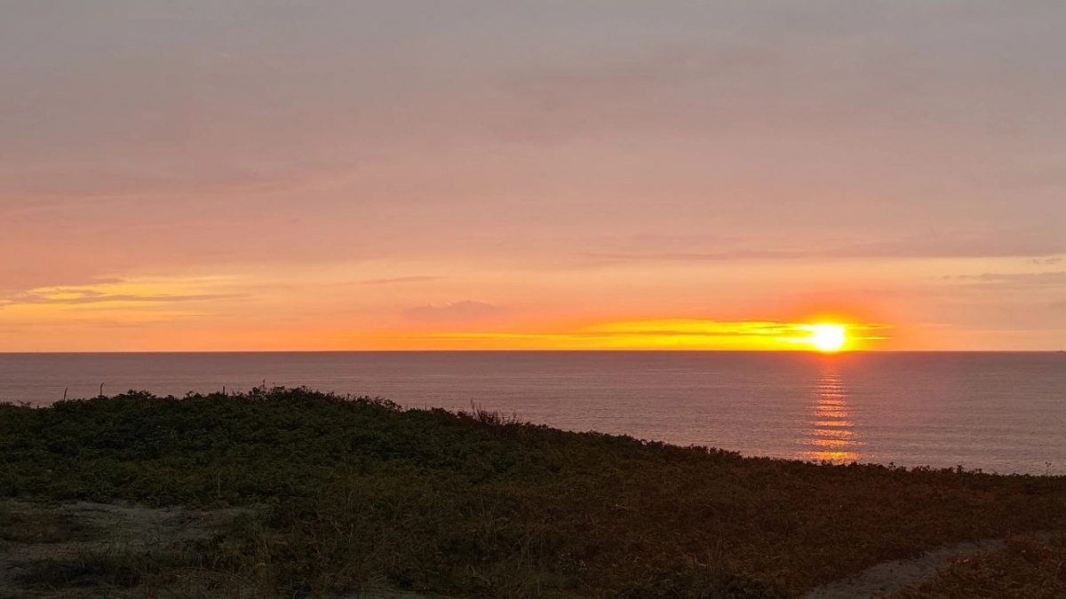 Абхазское лето-2026: честный разбор предстоящего сезона — цены, очереди, загранпаспорта для детей, новые правила въезда