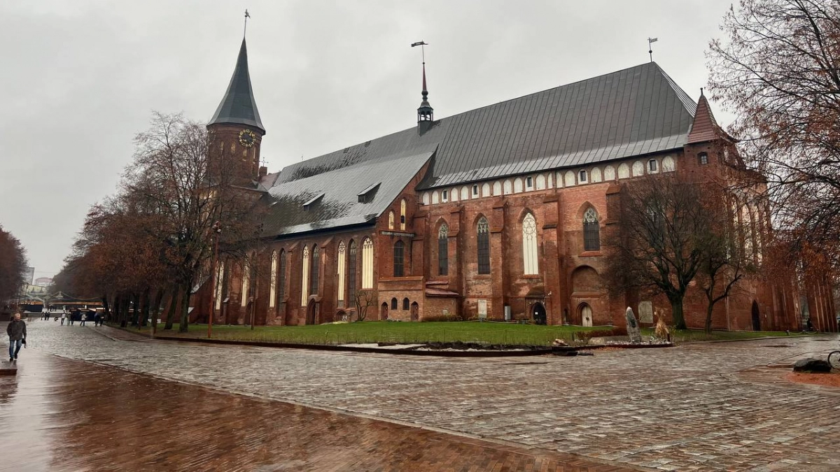 Море, котики, сытые дворы — и водители без поворотников: почему Калининград бесит даже тех, кто его обожает