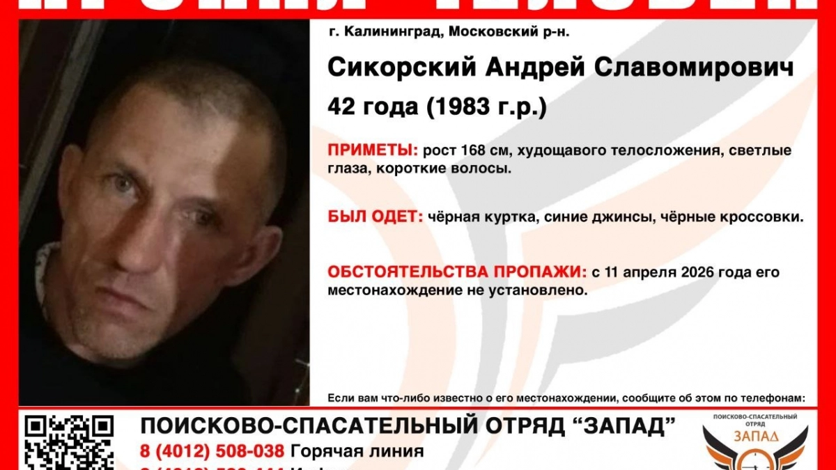 Пропал человек: в Калининграде ищут Андрея Сикорского, который бесследно исчез две недели назад