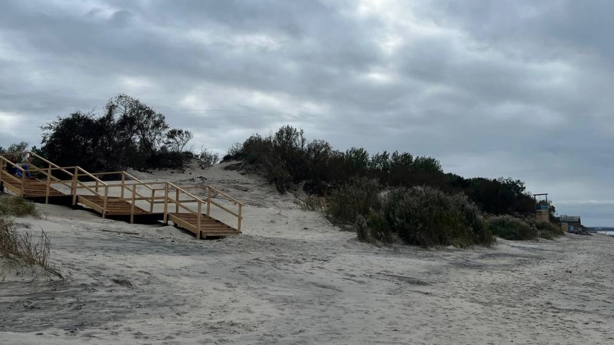 До 3 тысяч рублей за прогулку: калининградцам рассказали где нельзя появляться с собакой на пляже