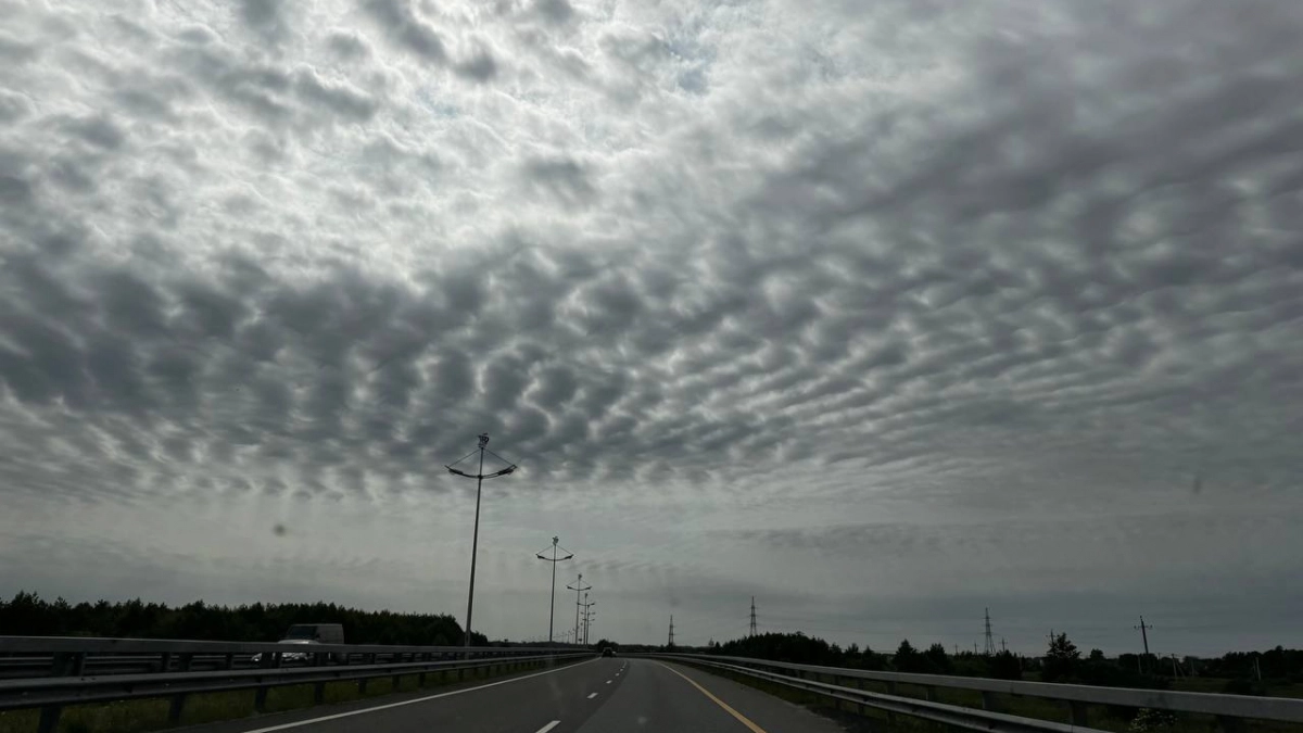 Внимание, водители! На Южном  вокзале заработал видеофиксатор: при нарушении штраф 2500