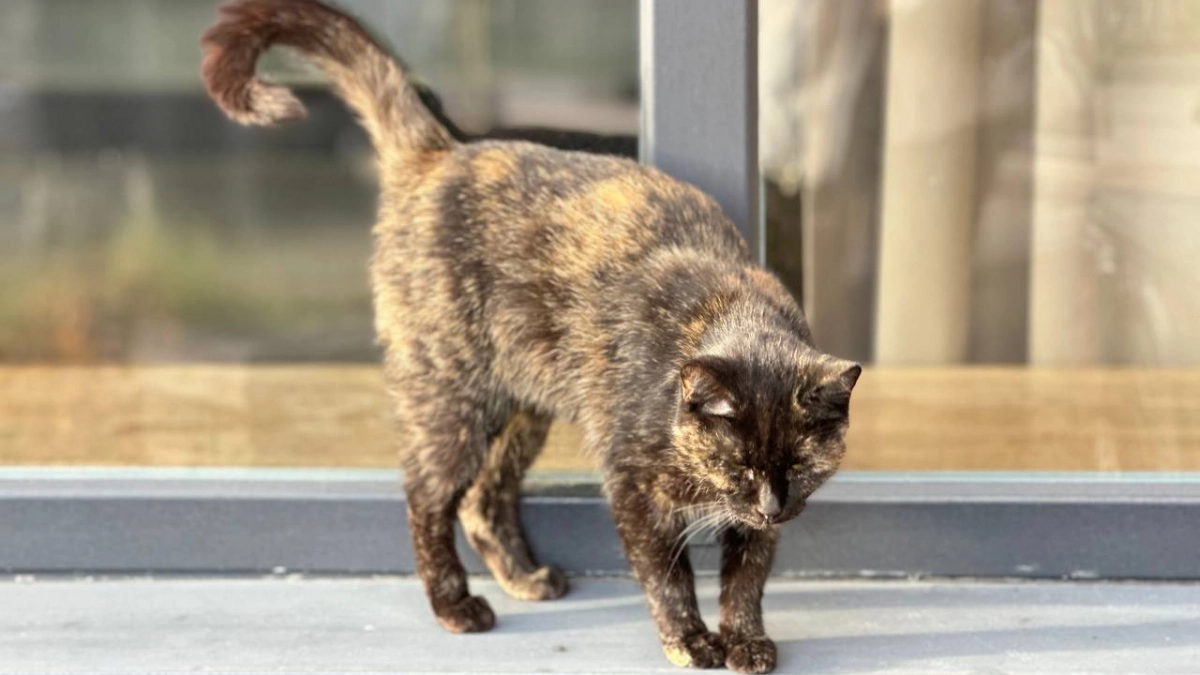 В Калининграде 1 мая в парках запустят фонтаны, устроят дискотеку и ярмарку: куда идти